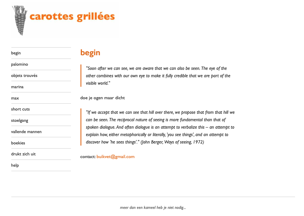 De homepage met logo en navigatie